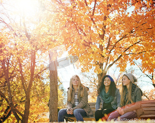 Image of Girl, friends and conversation in a park, relax and bonding on autumn morning happy, holiday or hanging out. Youth, teenager and female group in a forest chilling, speaking or enjoy weekend in nature