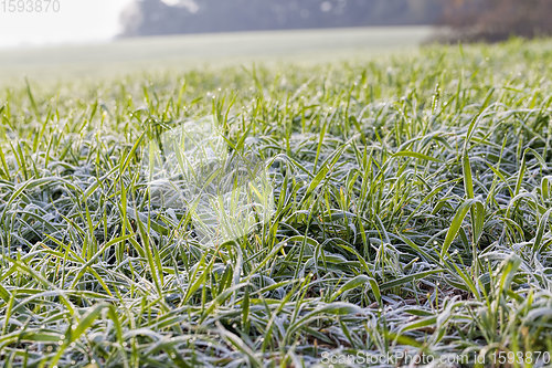 Image of winter weather in an agricultural field