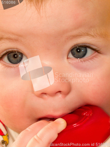 Image of Cute baby boy sucking on toy