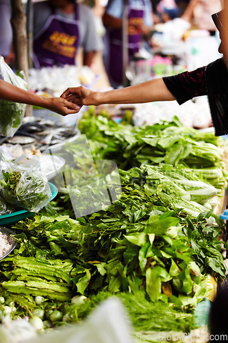 Image of Vegetables, market and hands for payment, shopping and customer cash at local food store or outdoor vendor. Seller, supplier or small business people, giving money and lettuce, green or asian herbs