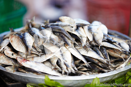 Image of Fish, food and cuisine at a street market in Thailand for nutrition or local delicacy during travel closeup. Grill, trade and seafood outdoor for purchase or experience of culture and tradition