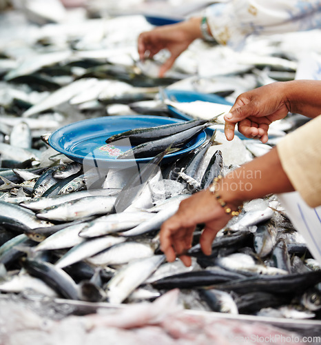 Image of Fish, trade and cuisine at a street market in Thailand for nutrition or local delicacy during travel closeup. Grill, food and seafood outdoor for purchase or experience of culture and tradition