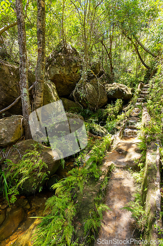 Image of Rain forest stone stairs, Isalo national park, Madagascar wilderness landscape