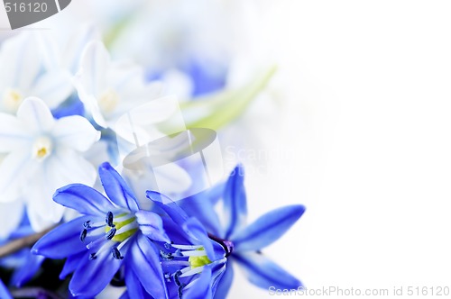 Image of Spring flowers background