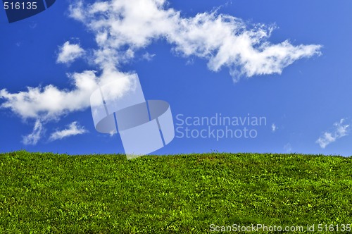 Image of Blue sky and green field