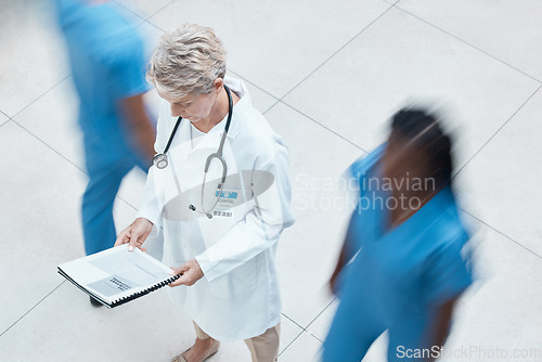 Image of Woman, doctor and hospital data with a nursing team in a busy wellness and health clinic. Medical, healthcare and nurse worker with insurance, help and medicine information ready for surgery