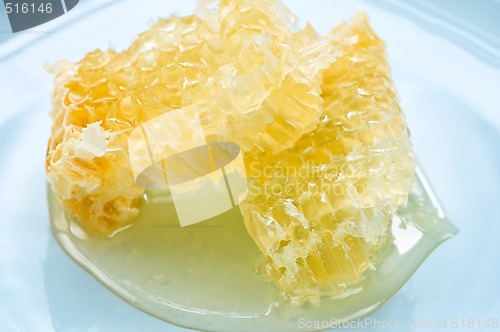 Image of Honey in honeycomb