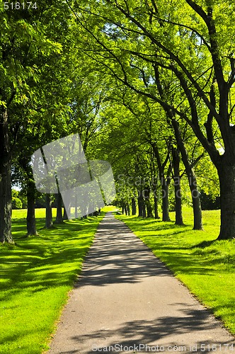 Image of Path in green park