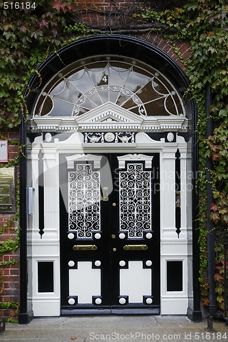 Image of The Door