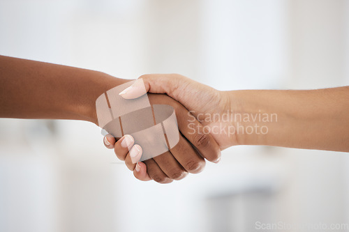 Image of Handshake, b2b and shaking hands after partnership deal in a successful business meeting for an onboarding negotiation. Hiring, thank you and hr manager with a new employee in a company job interview