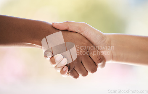 Image of Diversity, hands closeup and welcome handshake introduction to interview meeting or thank you. Well done handshaking mockup, good job partnership deal or congratulations success on teamwork support