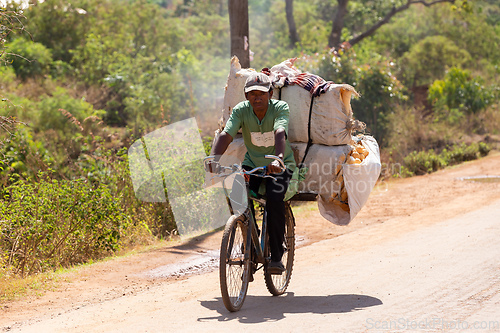 Image of A Malagasy man on a bicycle transports large sacks. Traditional transport of the poor population in Madagascar