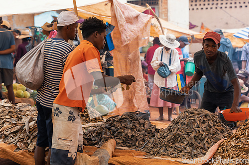 Image of Malagasy man buys dried fish at a street market. Fishing is one of the livelihoods in Madagascar.