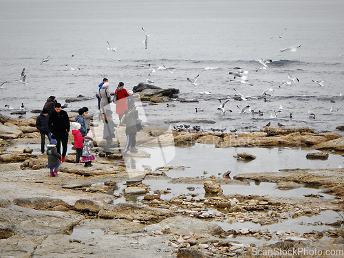 Image of People on the seashore feed the birds.