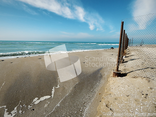 Image of Sandy coast of the Caspian Sea.