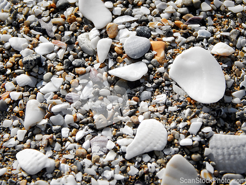 Image of Pebbles on the seashore.