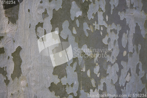 Image of background tree