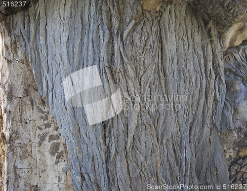 Image of background tree