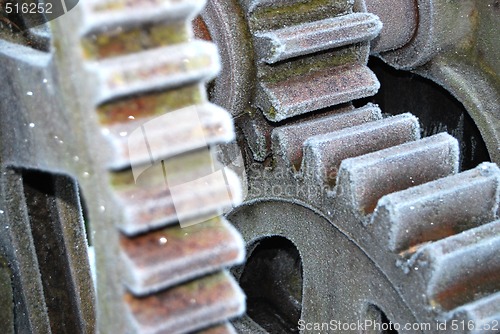 Image of Hoar-Frosted Gears