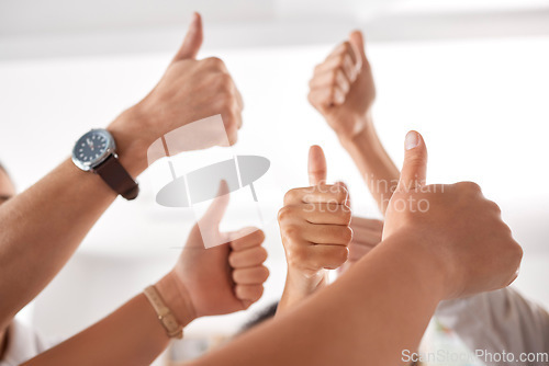 Image of Team, diversity and business people thumbs up sign, icon and hands gesture for success and celebration. Group of men and women employees together for trust, yes or thank you hand gesture at work