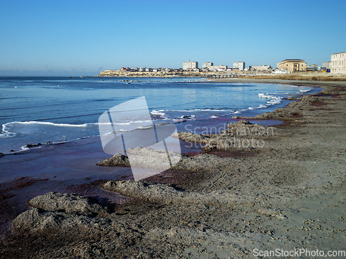 Image of Purple ice on the shore.