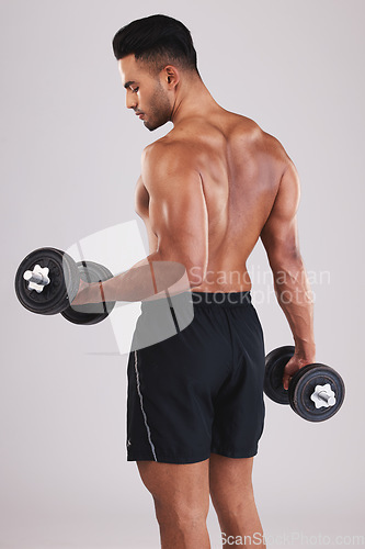 Image of Man, working out muscle and dumbell in studio for strength training, weightlifting exercise and healthy fitness training routine. Muscular athlete flexing, workout motivation and sports body builder