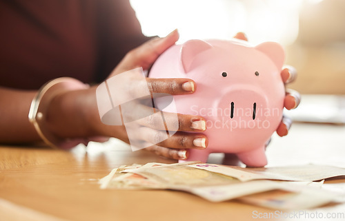 Image of Piggy bank, savings and black hands with bills for investment, retirement cash and monthly finance. Emergency fund growth, future plans and profit money for investing, pay off debt and income payment