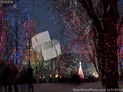 Image of Christmas lights