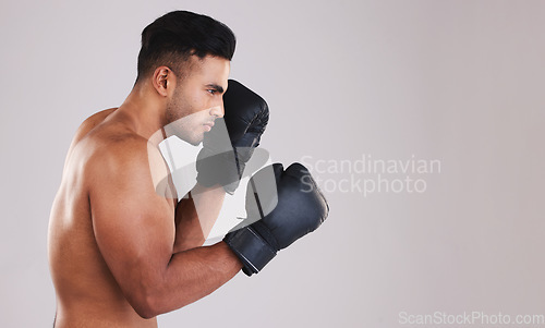 Image of Training, young man and boxer with boxing gloves for competition, prepare for match and focus with grey studio background profile. Sportsman, Indian male and fighter at game, being healthy in workout