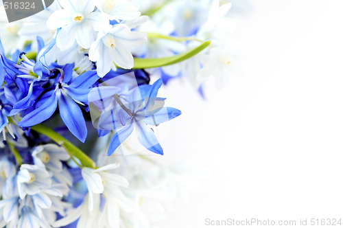 Image of Spring flowers background