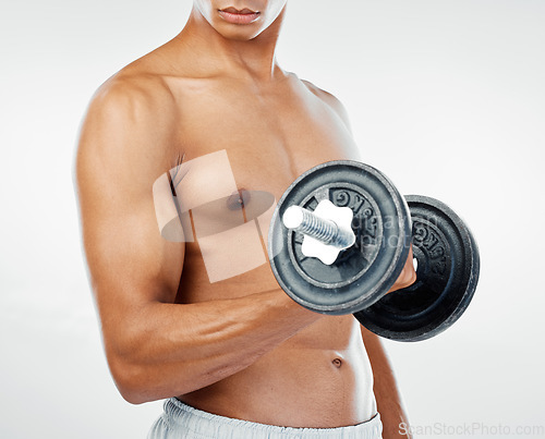 Image of Fitness, strength and biceps of man with weight in hand doing exercise, training and workout. Motivation, inspiration and young male do weight lifting for strong body, torso isolated in white studio