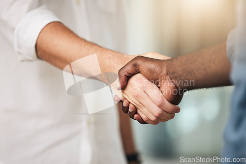 Image of Business, handshake and partnership for deal, agreement or commitment in collaboration at the office. Hands of people shaking for meeting, b2b or greeting in teamwork, care and support at workplace