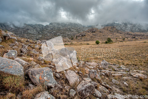 Image of Andringitra national park,mountain landscape, Madagascar wilderness landscape