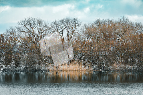 Image of Winter landscape covered with snow