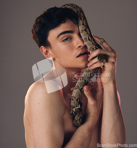 Image of Model skin snake, face of man and grey studio background with health beauty, skincare and makeup. Cosmetics serpent guy, edgy creative and facial wellness cosmetic in artistic portrait with python