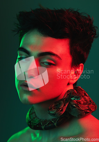 Image of Beauty light, snake and face of model with creative color fashion, red neon lighting and luxury facial skincare. Creativity, individuality and aesthetic man with python on green studio background