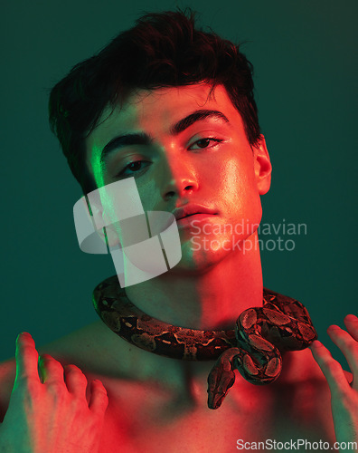 Image of Skincare, man and snake in studio for beauty, wellness and treatment in art or creative, neon and green background. Face, portrait and model with animal for danger, glow and python extract product