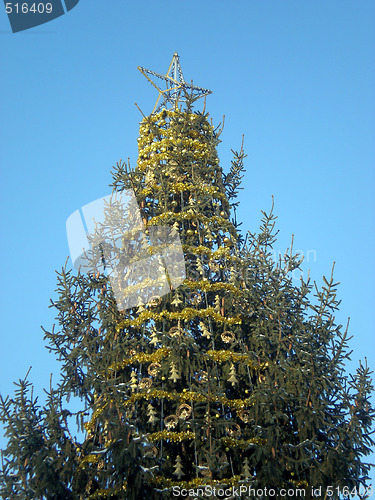 Image of Christmas tree