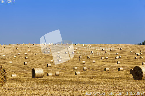 Image of agricultural field with straw stacks