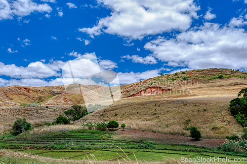 Image of Devastated central Madagascar landscape - Mahajanga Province Madagascar