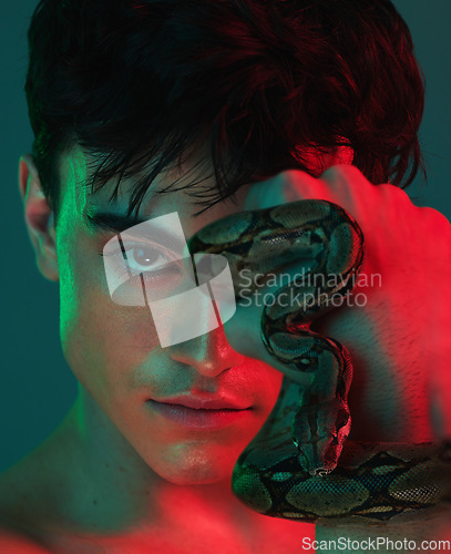 Image of Skincare, neon light and snake for skincare, danger and venom or poison for dermatology, power or aesthetic background. Portrait of model male in studio with python animal for beauty, art and fashion