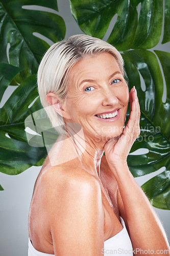 Image of Skincare, spa and senior woman with leaf in studio, model for beauty, luxury and wellness. Dermatology, cosmetics and portrait of old female with healthy skin, wrinkles and natural anti aging product