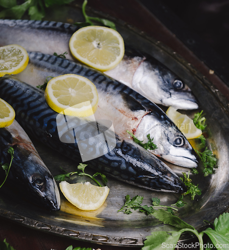 Image of Mackerels on silver plate