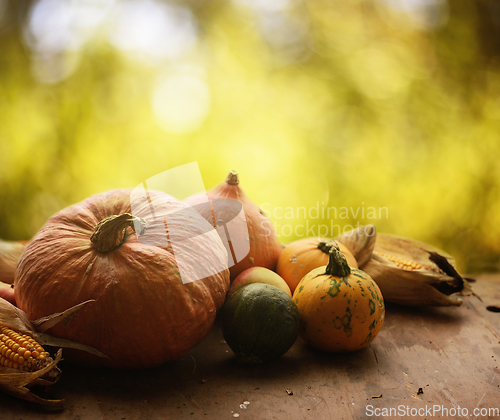 Image of Autumn crops