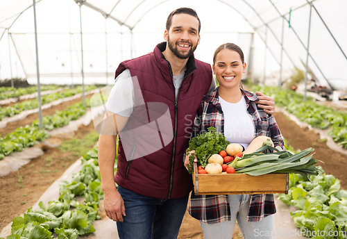 Image of Agriculture, food and health with couple on farm for teamwork, sustainability and environment. Happy, garden and agro with farmer man and woman and vegetables box for small business, plant or growth