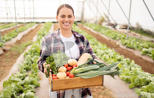 Image of Greenhouse, container and farmer harvest vegetables for eco friendly farming, nutritionist lifestyle or agriculture small business. Sustainability growth, organic farm field or woman with produce box