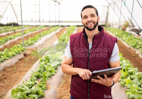 Image of Farmer, agriculture and man with tablet in greenhouse, research and check product with harvest portrait and fresh vegetables. Farm, farming and technology, sustainable lifestyle and organic lettuce.