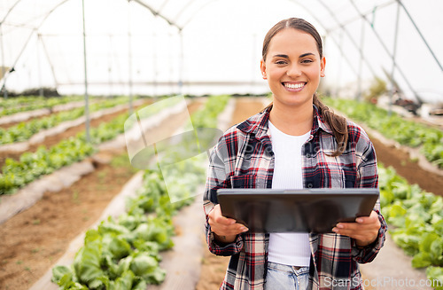 Image of Digital tablet, vegetable farmer and sustainable organic lettuce crop, healthy harvest and farming sustainability. Modern farm, planning and modern agriculture technology to monitor veg growth health