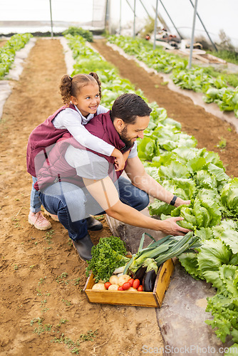 Image of Farming, agriculture and father with child in greenhouse picking vegetables together on farm. Family, love and young girl helping dad with sustainable farming, harvest and collecting organic lettuce