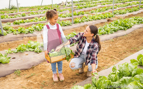 Image of Food, agriculture and mother with girl on farm for health, sustainability and environment. Help, learning and garden with mom and child farmer with box of lettuce for family, summer and plant growth